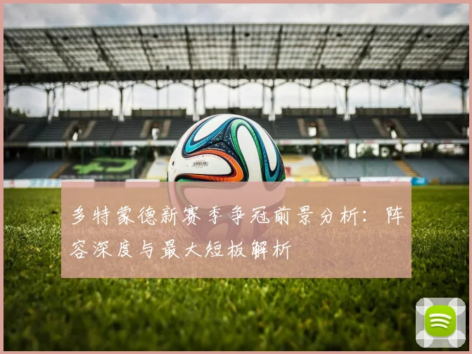 多特蒙德新赛季争冠前景分析:阵容深度与最大短板解析