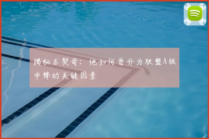 揭秘东契奇:他如何晋升为联盟A级中锋的关键因素