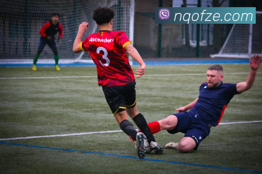 奖项证书